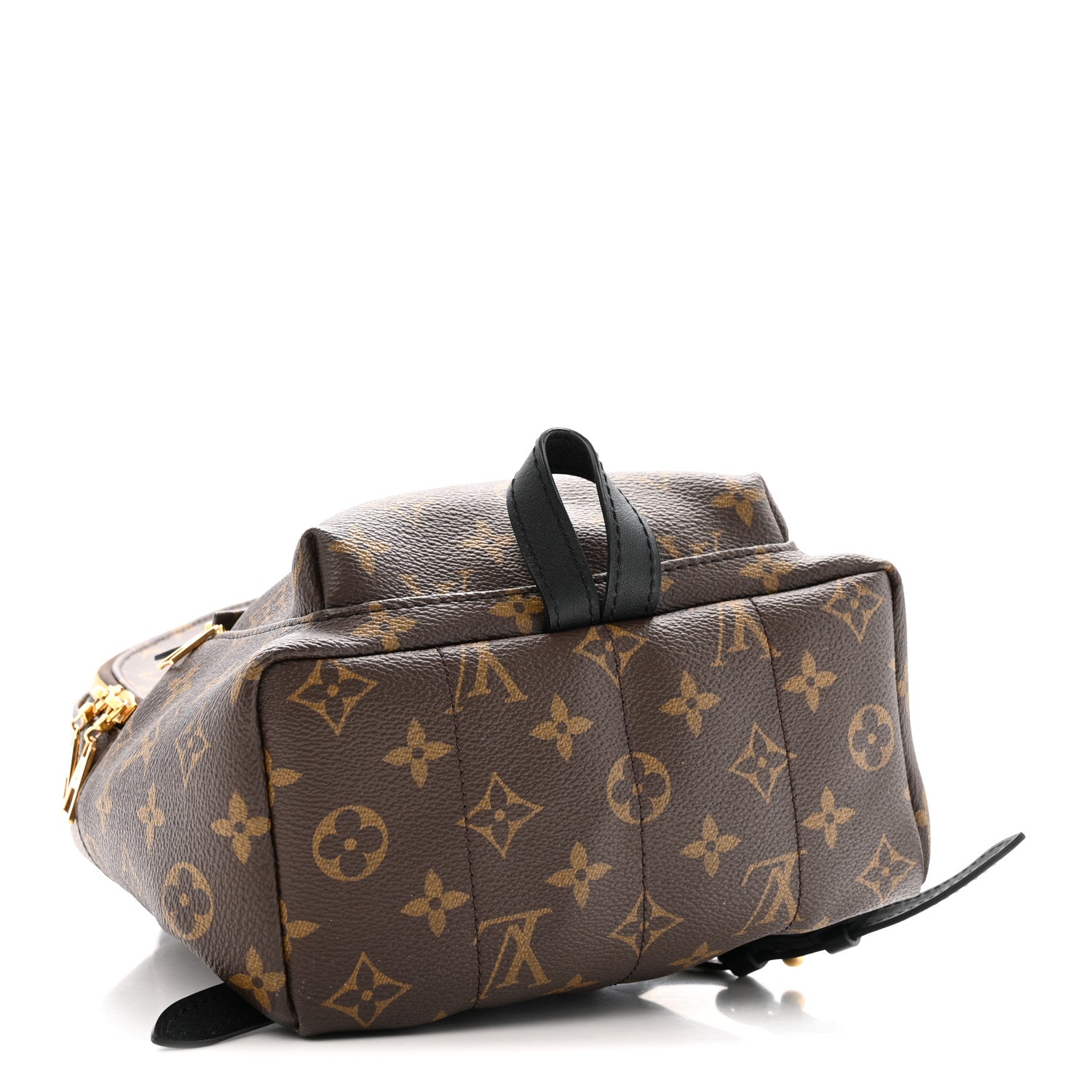 Monogram Palm Springs Backpack PM