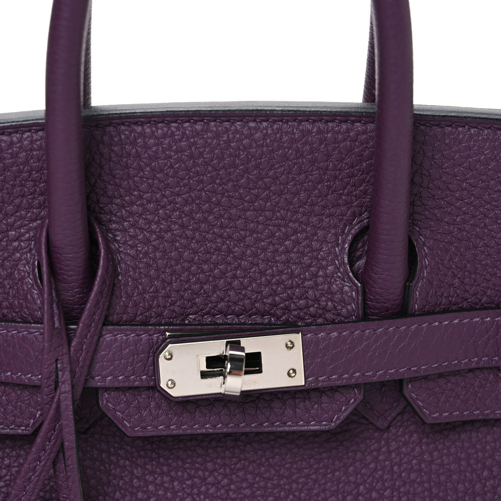 Togo Birkin 25 Cassis