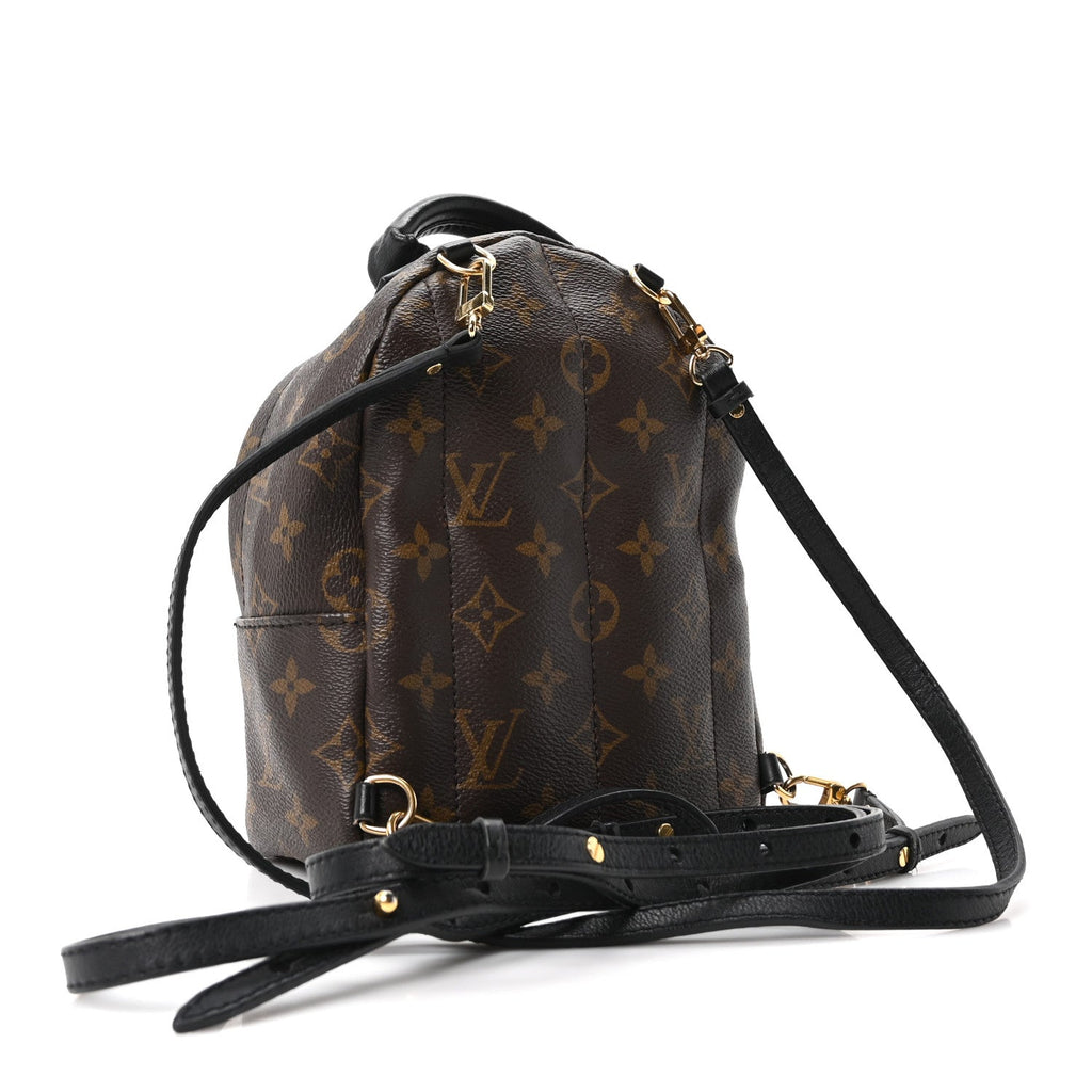 Monogram Palm Springs Backpack Mini