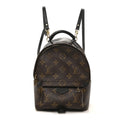Monogram Palm Springs Backpack Mini