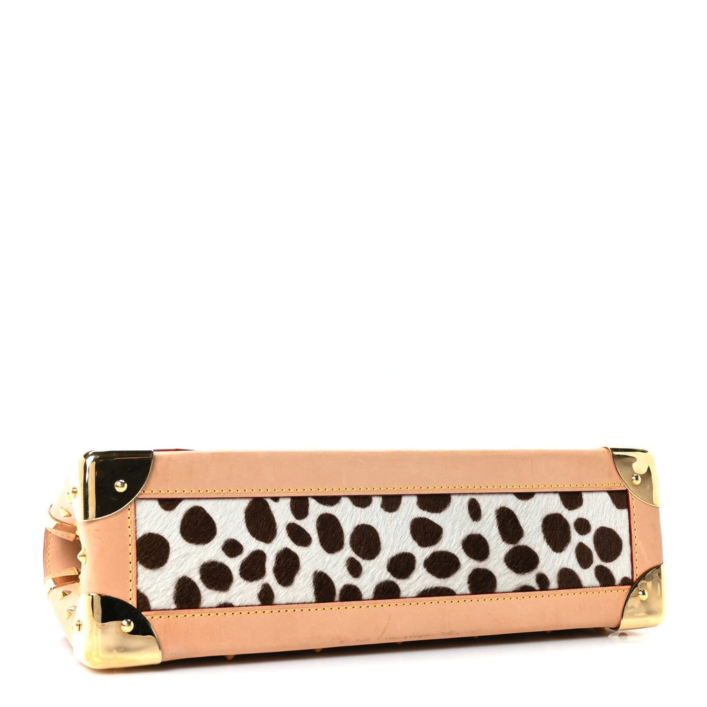 Monogram Multicolor Dalmatian Sac Rabat
