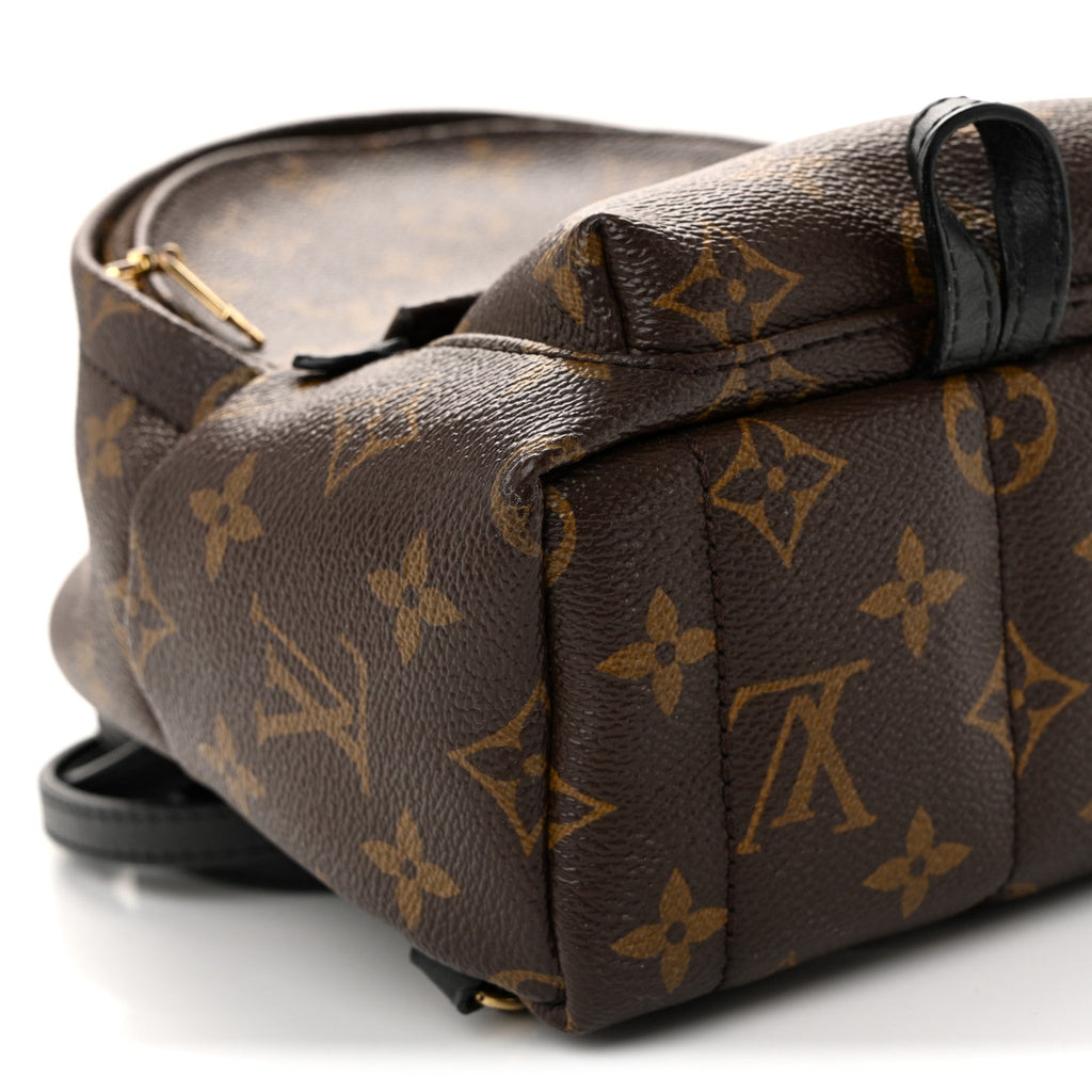 Monogram Palm Springs Backpack Mini