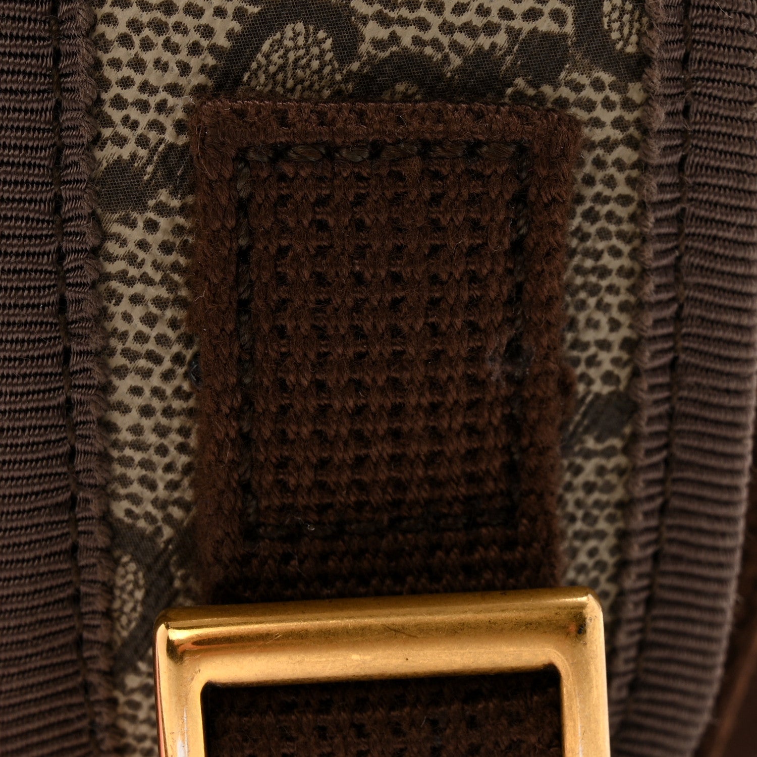GG Supreme Monogram Textured Dollar Calfskin Web Small Ophidia Day Backpack Beige Ebony Fluorescent Fuchsia
