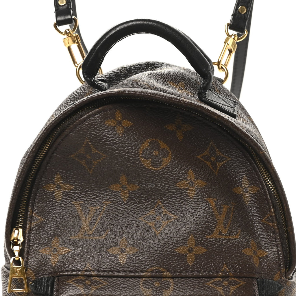 Monogram Palm Springs Backpack Mini