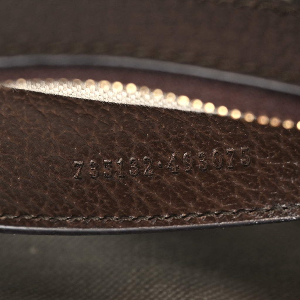 GG Supreme Monogram Textured Dollar Calfskin Web Small Ophidia GG Handbag Beige Ebony New Acero