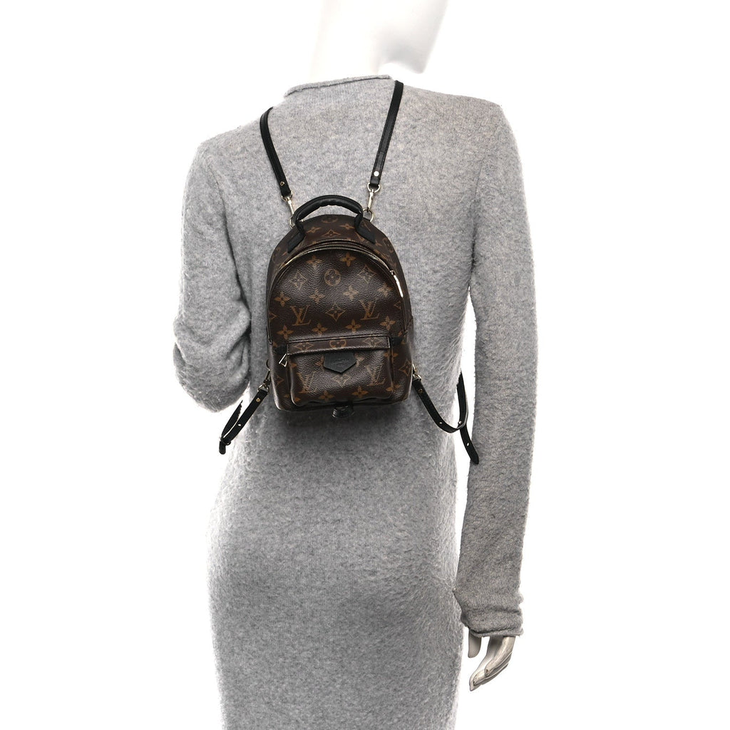 Monogram Palm Springs Backpack Mini