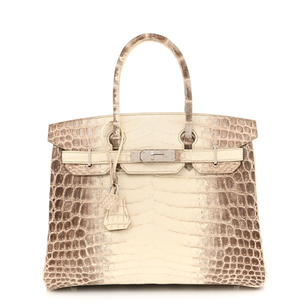 Matte Niloticus Crocodile Himalaya Birkin 30 Blanc