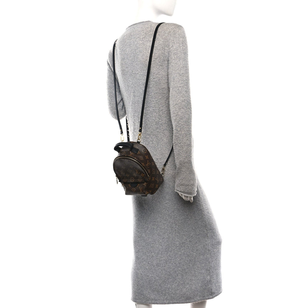 Monogram Palm Springs Backpack Mini