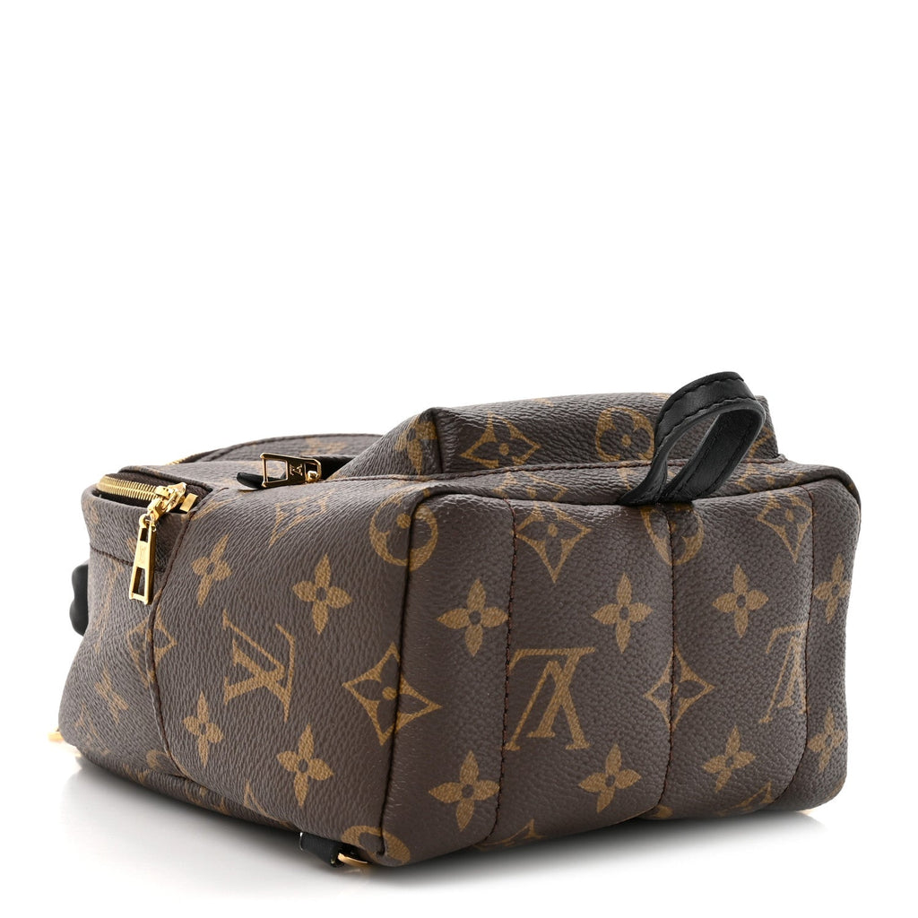 Monogram Palm Springs Backpack Mini