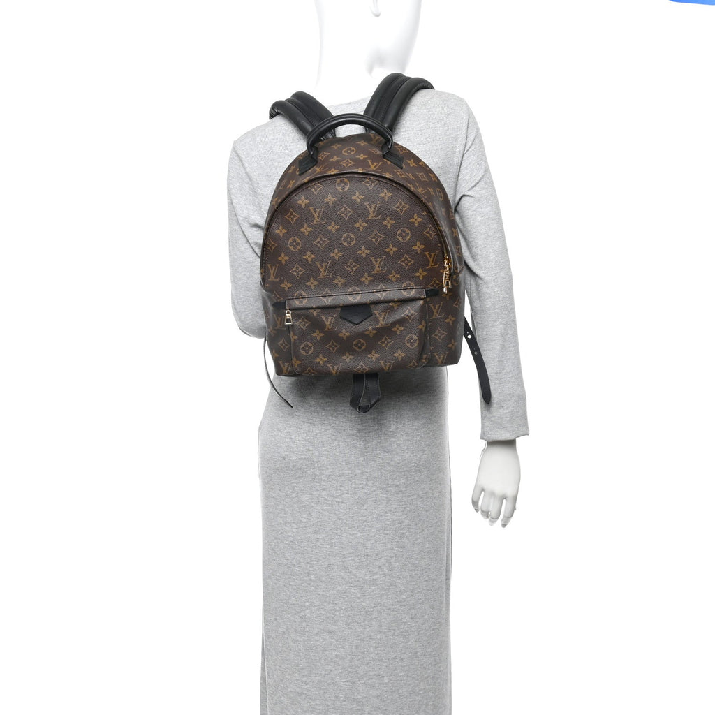 Monogram Palm Springs Backpack MM