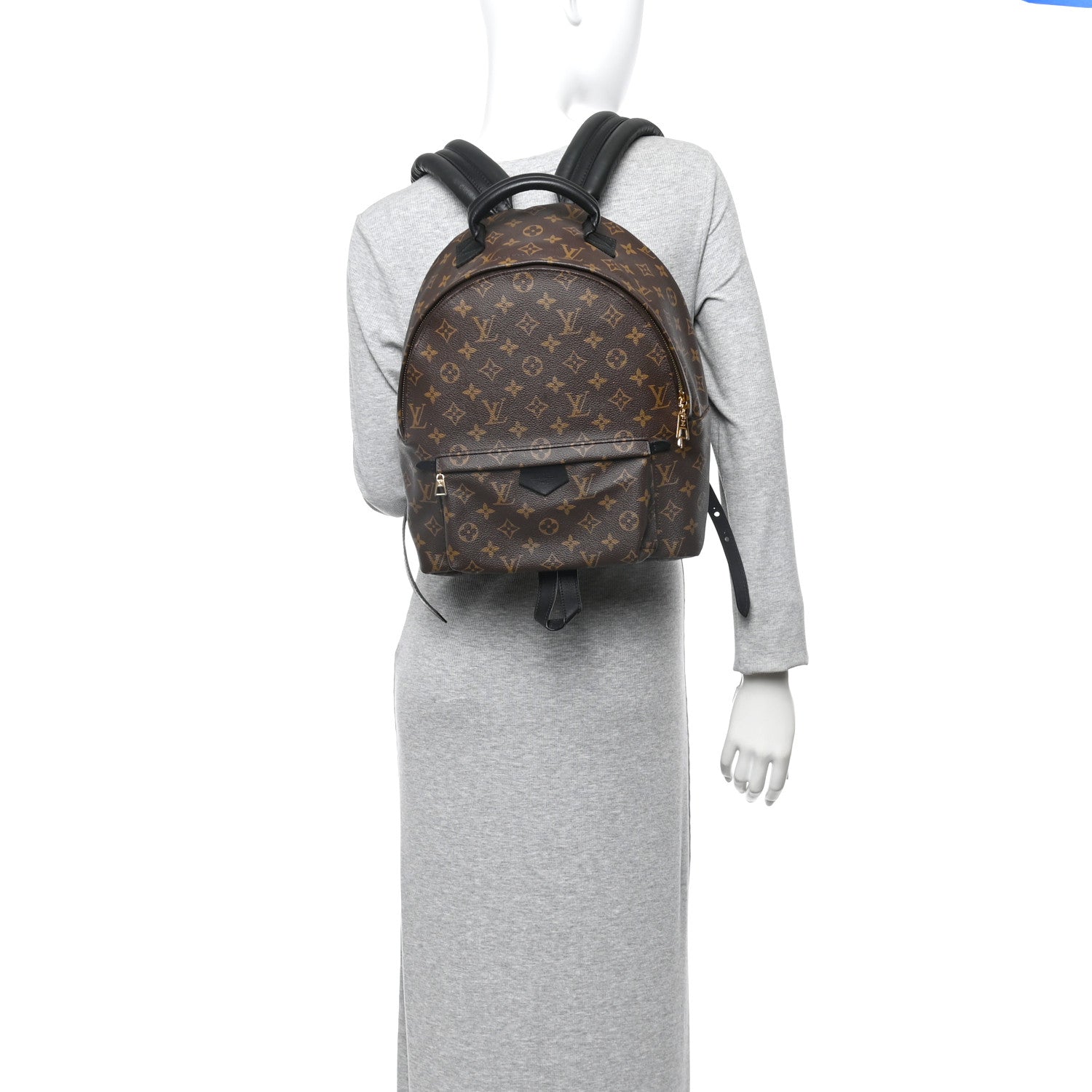 Monogram Palm Springs Backpack MM