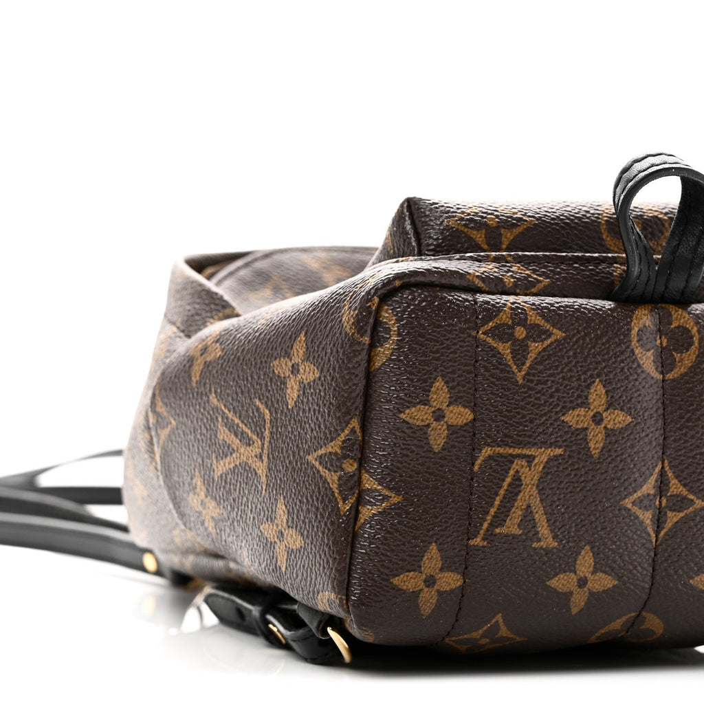 Monogram Palm Springs Backpack Mini