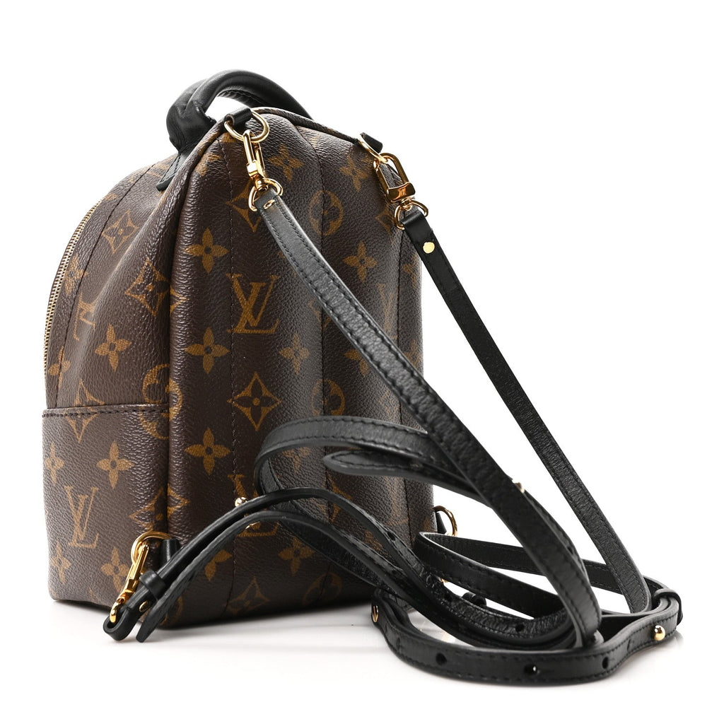 Monogram Palm Springs Backpack Mini