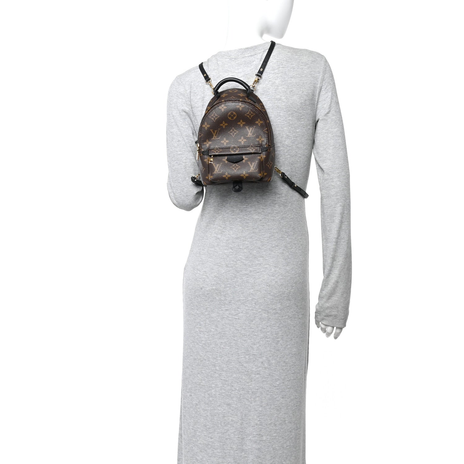 Monogram Palm Springs Backpack Mini