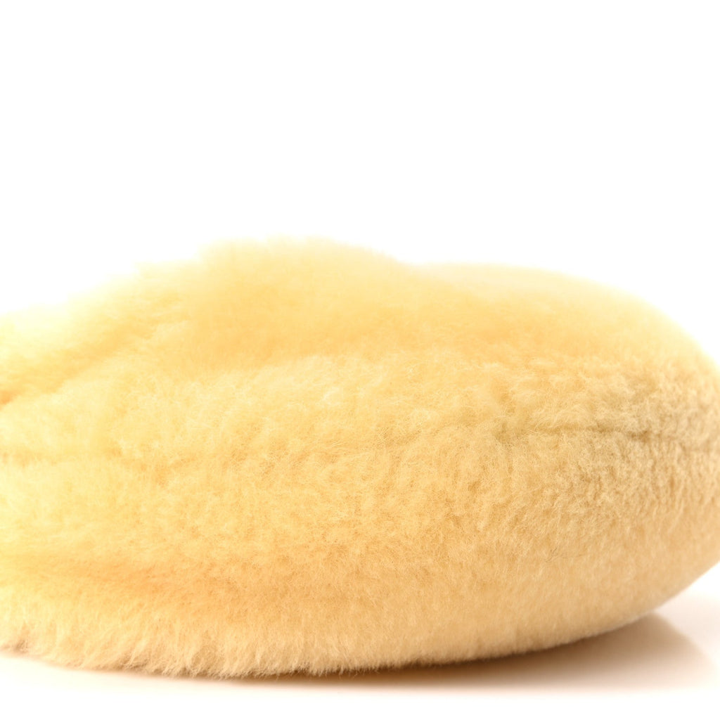 Shearling Lambskin Mini Jodie Teddy
