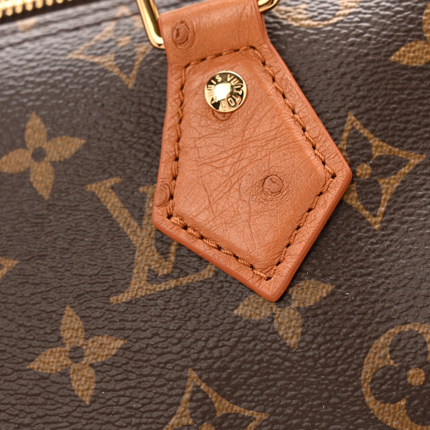 Monogram Speedy Soft 30 Boho