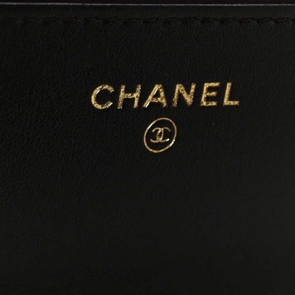 Lambskin Quilted Chanel 19 Wallet On Chain WOC Dark Brown