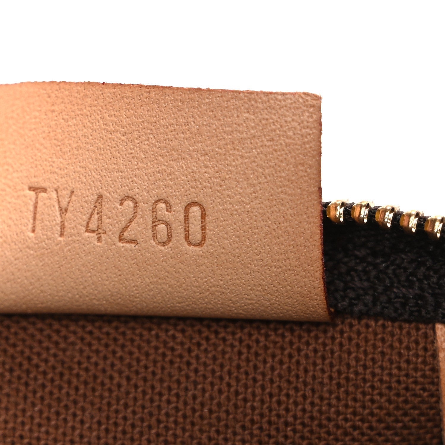 Monogram Nano Speedy