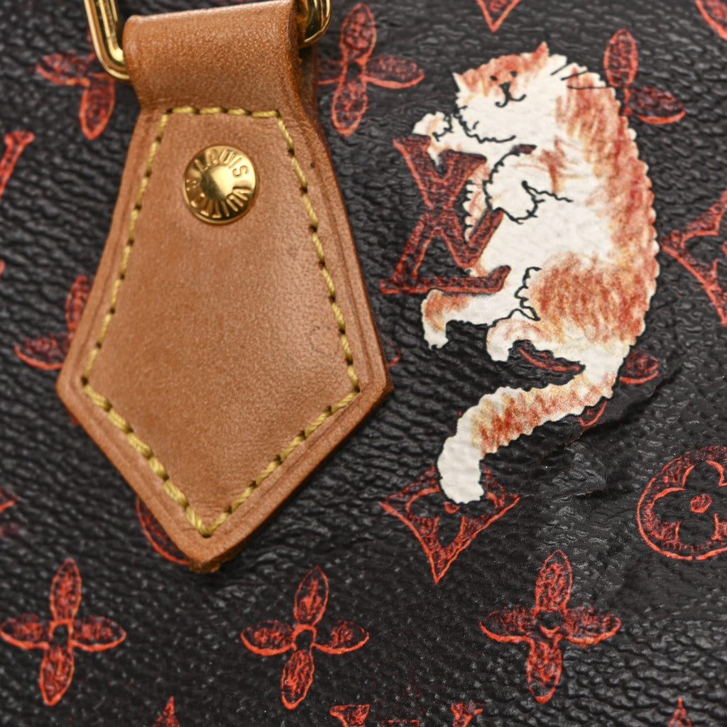 Catogram Speedy Bandouliere 30 Marron