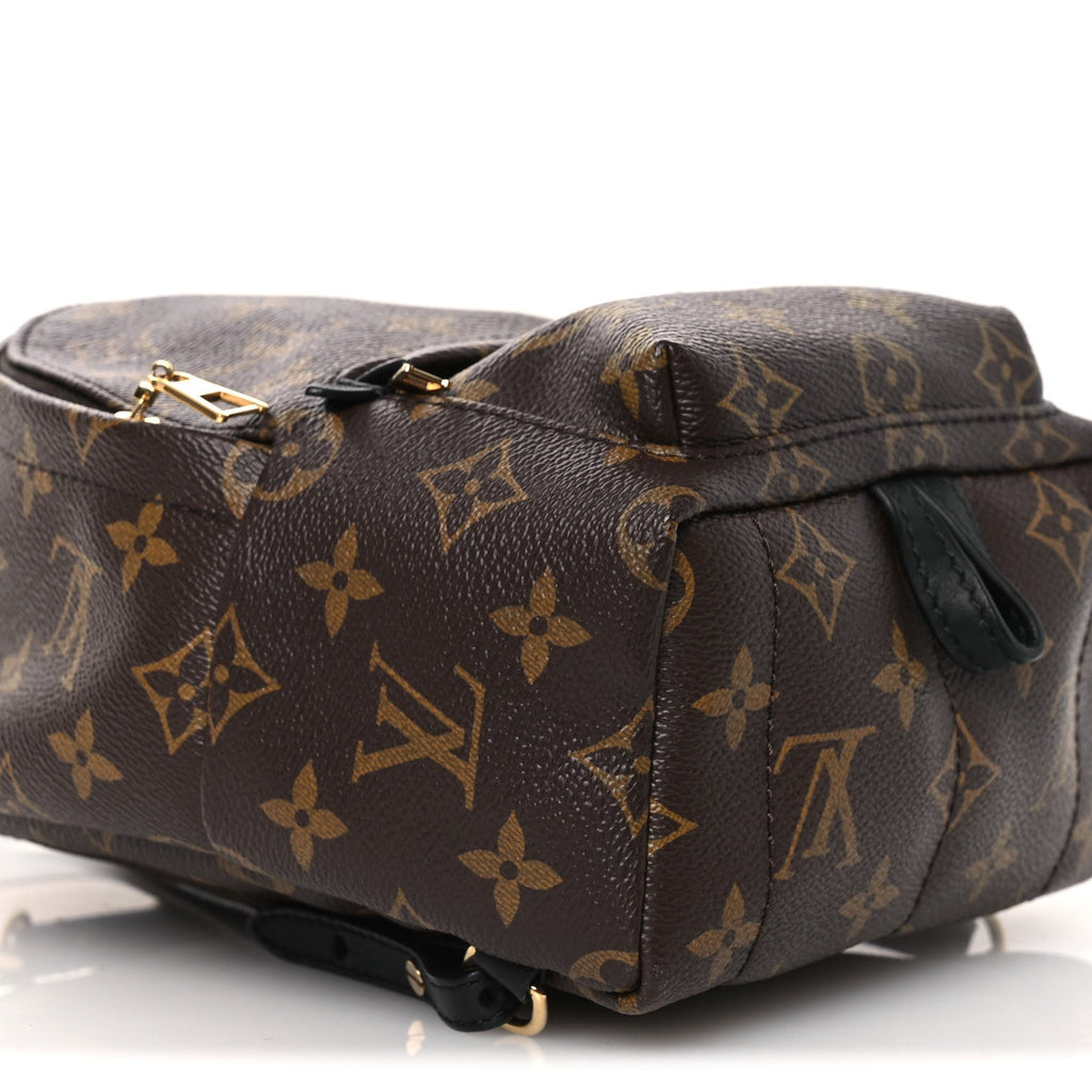 Monogram Palm Springs Backpack Mini
