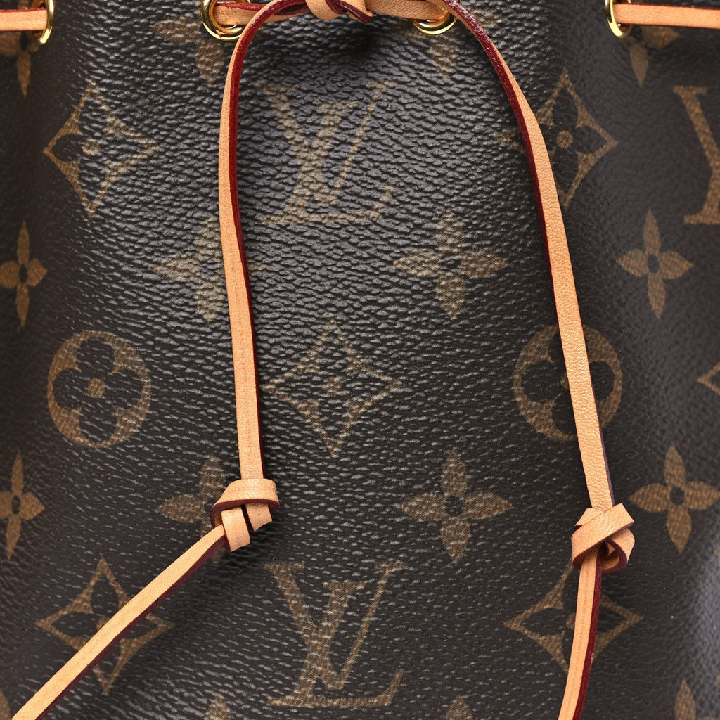 Monogram Nano Noe