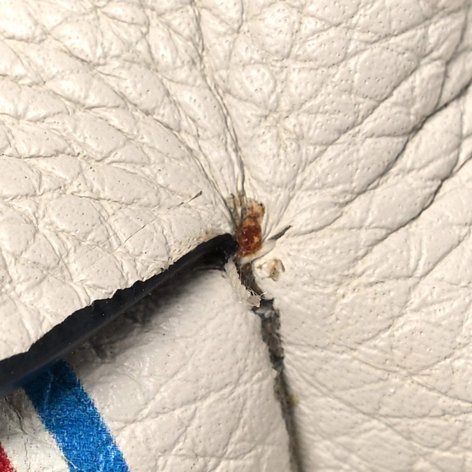 Calfskin 22 Mini Elephant Crossbody Bag Soft White Red