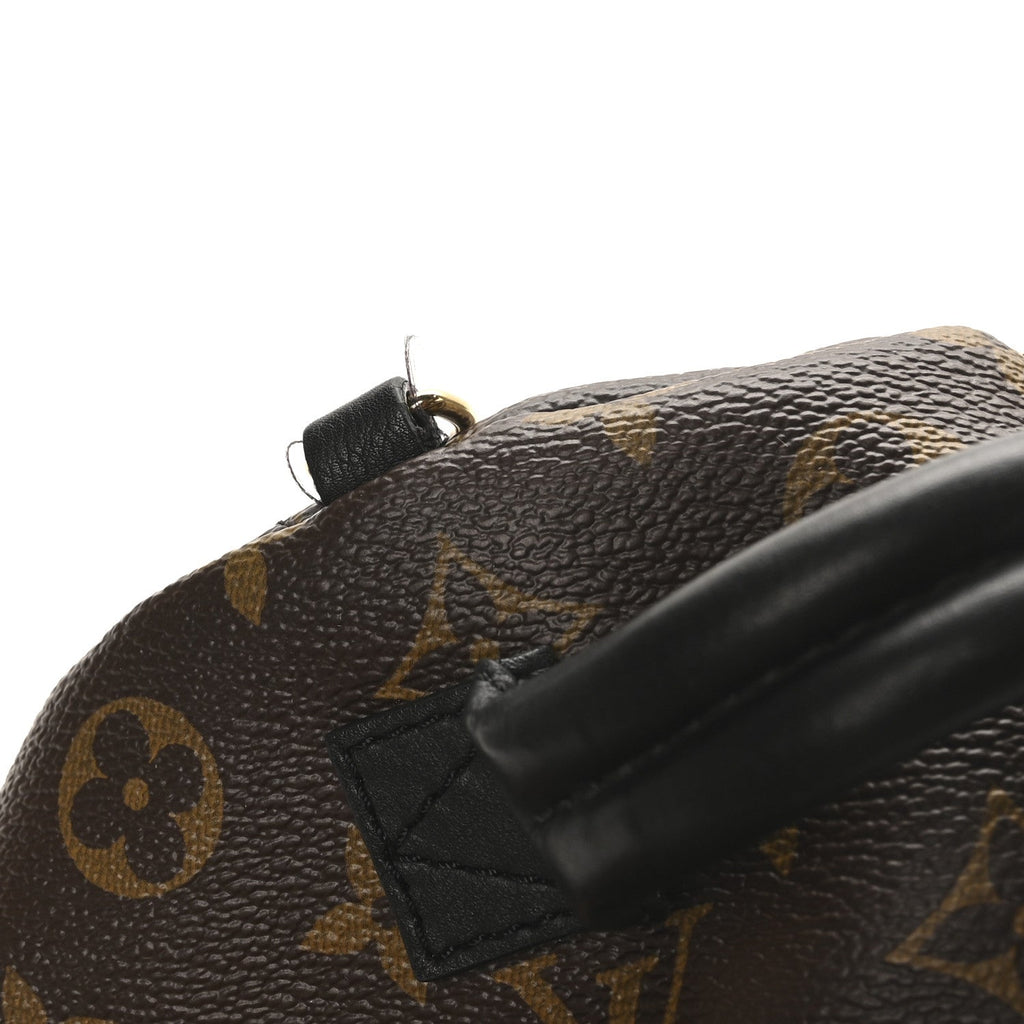 Monogram Palm Springs Backpack Mini