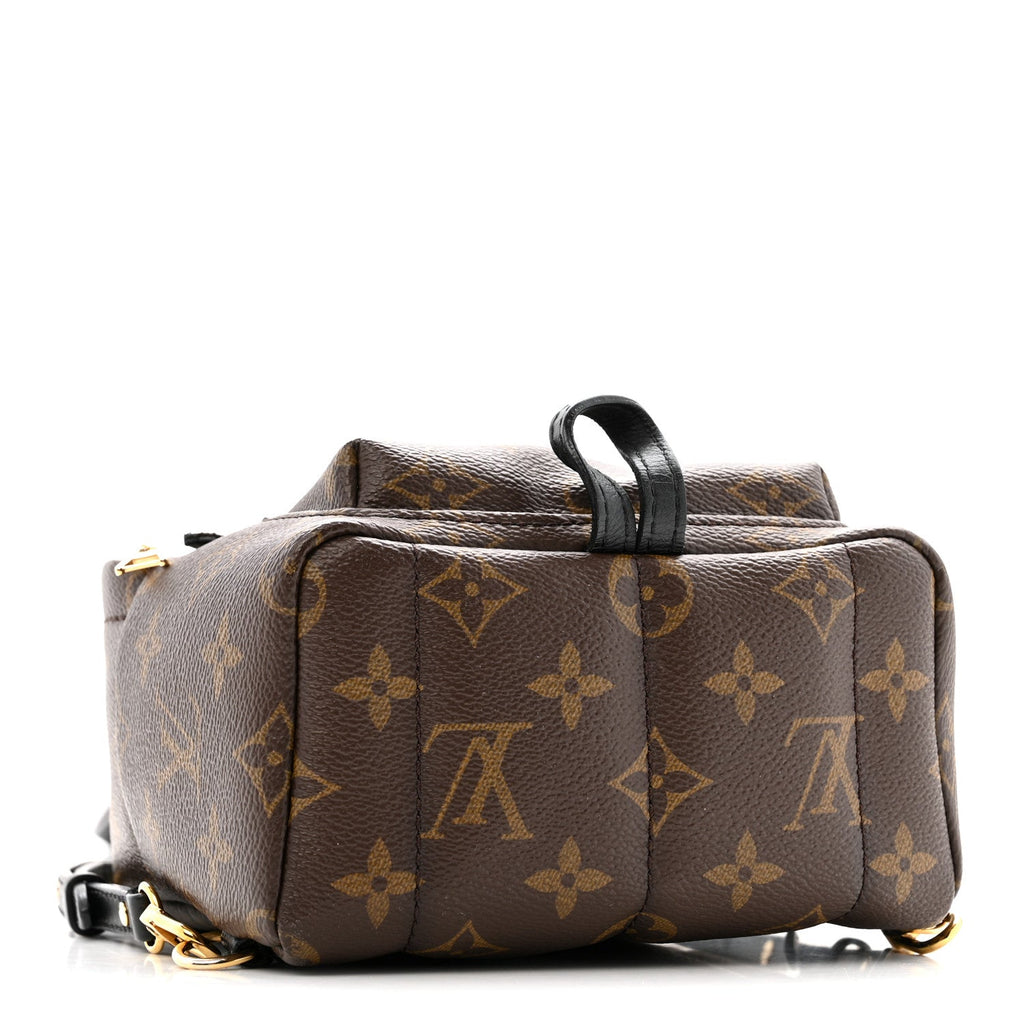 Monogram Palm Springs Backpack Mini
