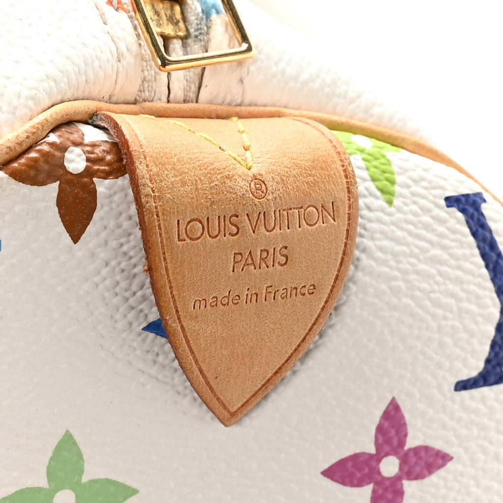Monogram Multicolor Speedy 30 White
