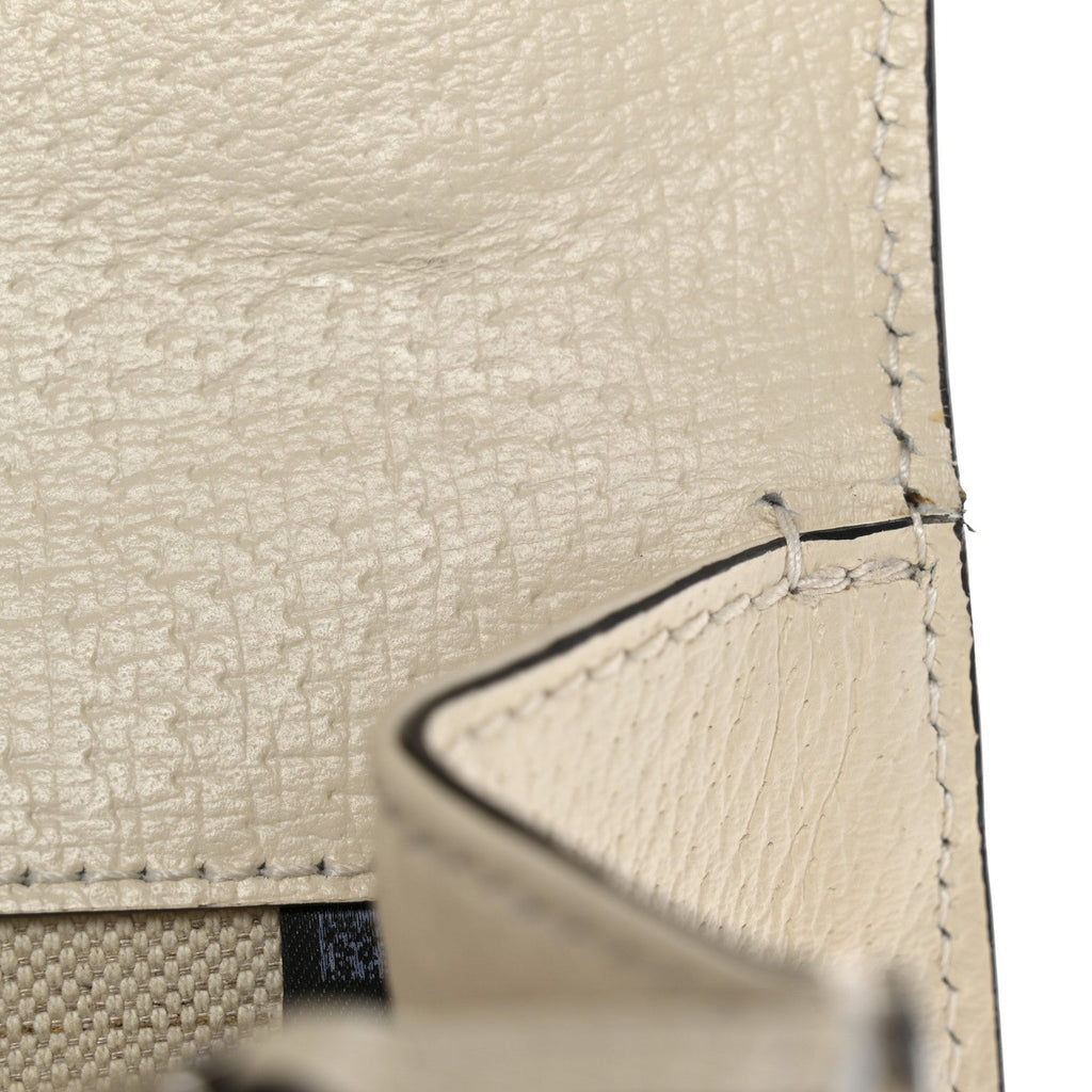 Textured Calfskin Crystal Small Dionysus Shoulder Bag Mystic White