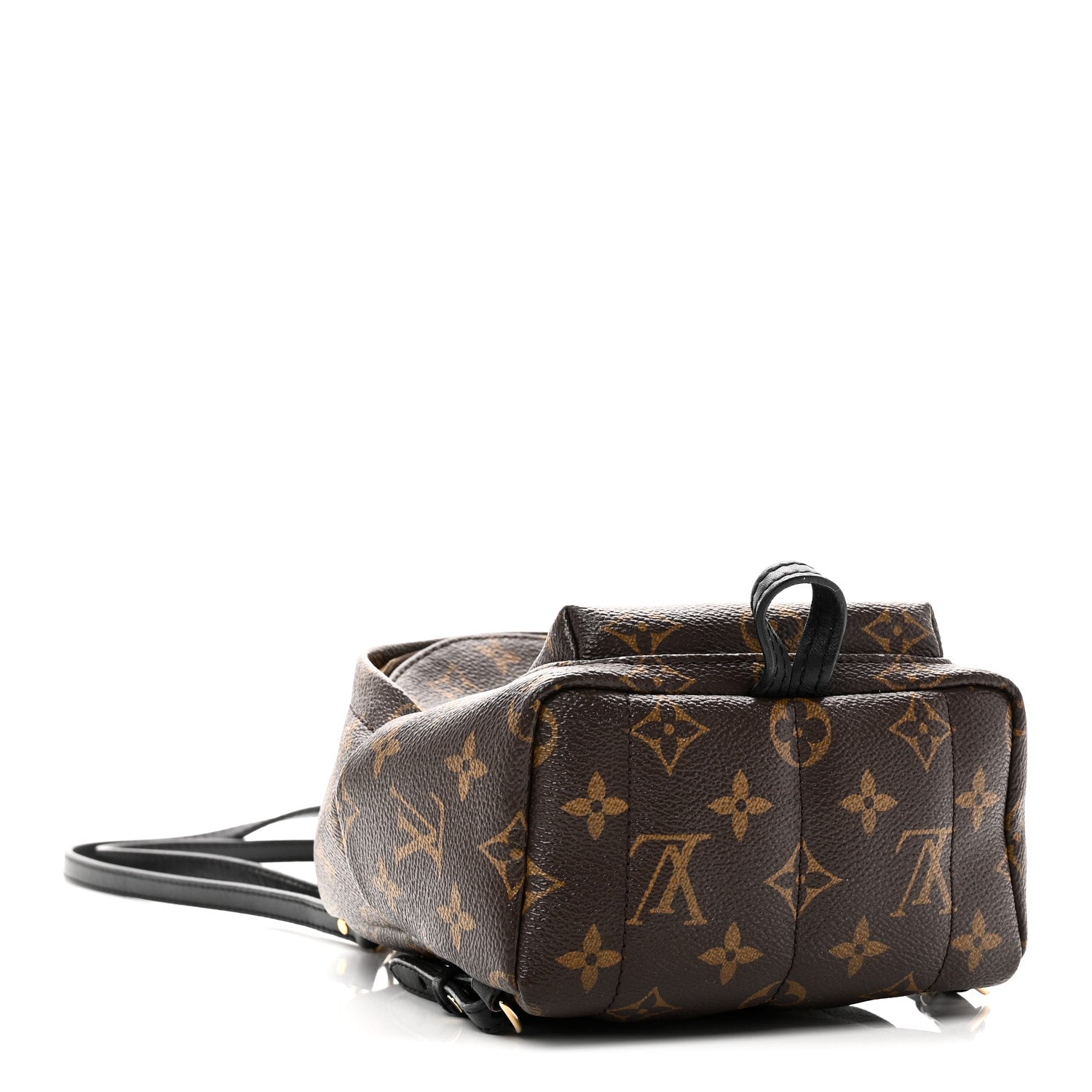 Monogram Palm Springs Backpack Mini