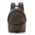 Monogram Palm Springs Backpack PM