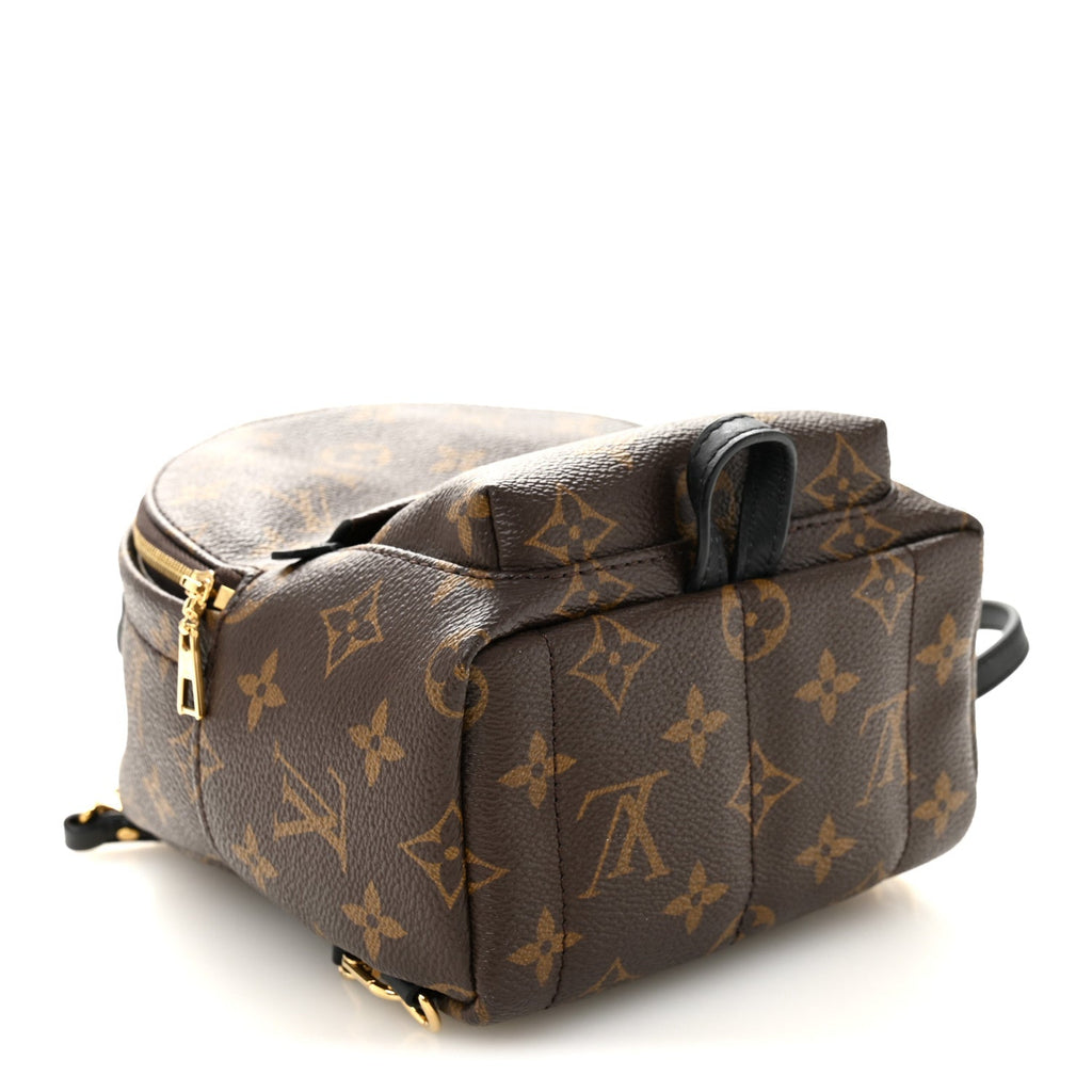 Monogram Palm Springs Backpack Mini