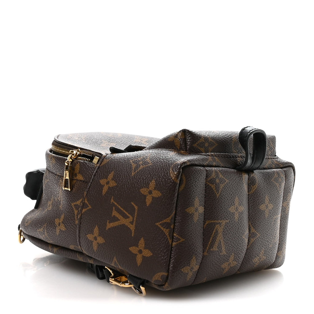 Monogram Palm Springs Backpack Mini