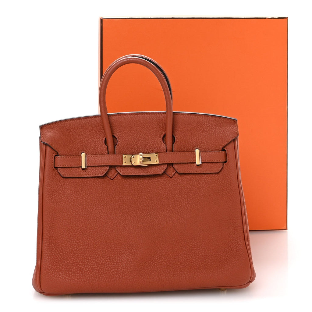 Togo Birkin 25 Terre Battue