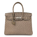 Ostrich Birkin 30 Mousse
