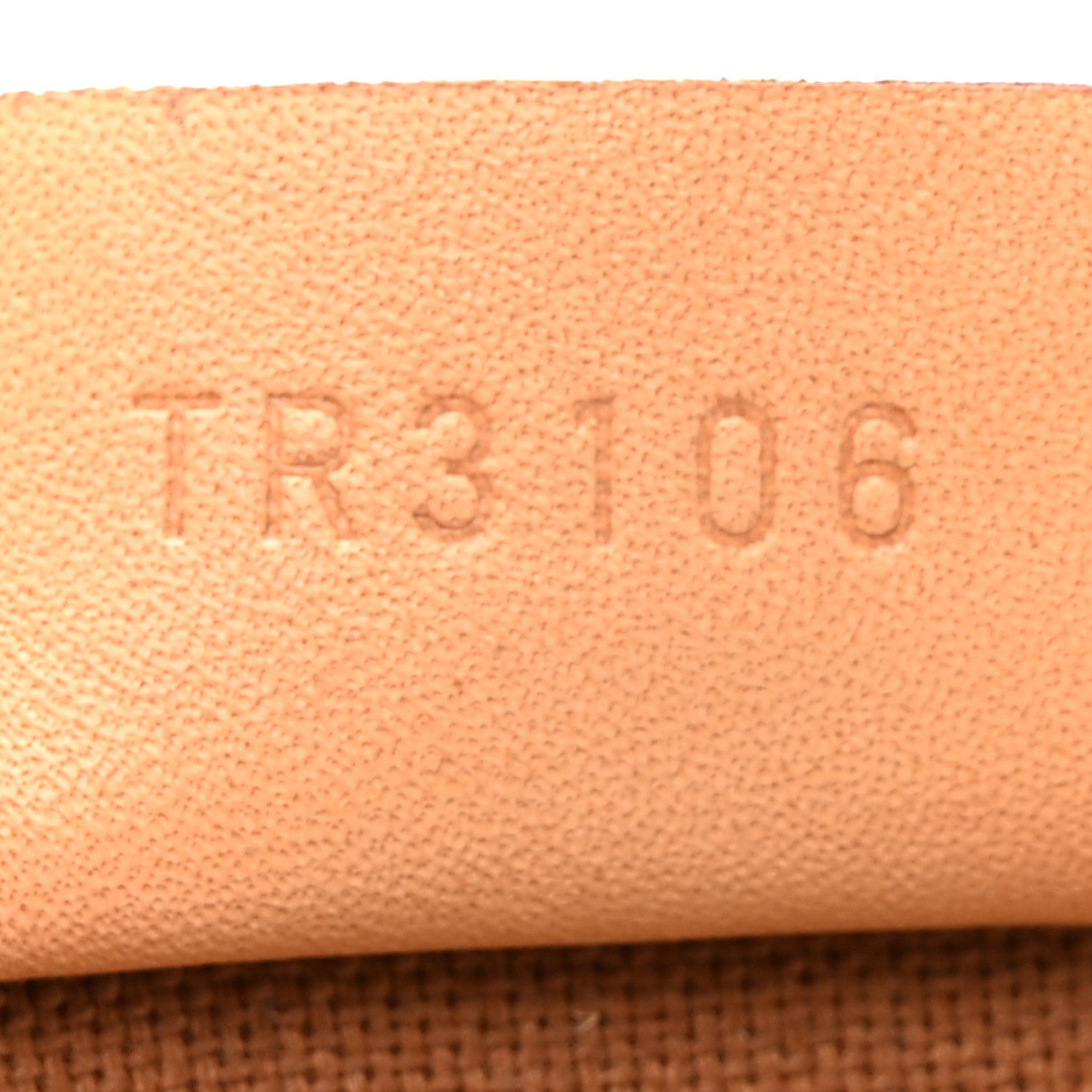 Monogram Nano Speedy