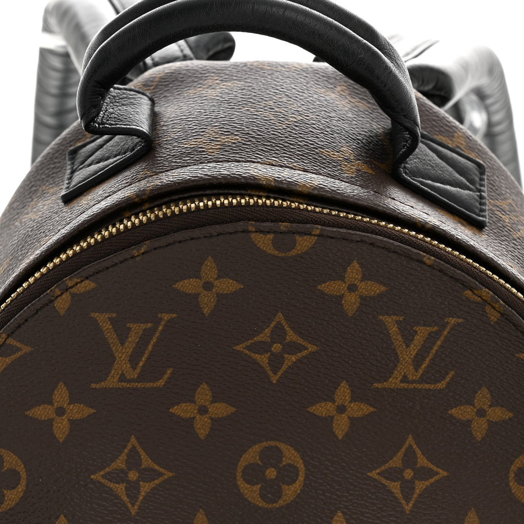 Monogram Palm Springs Backpack PM
