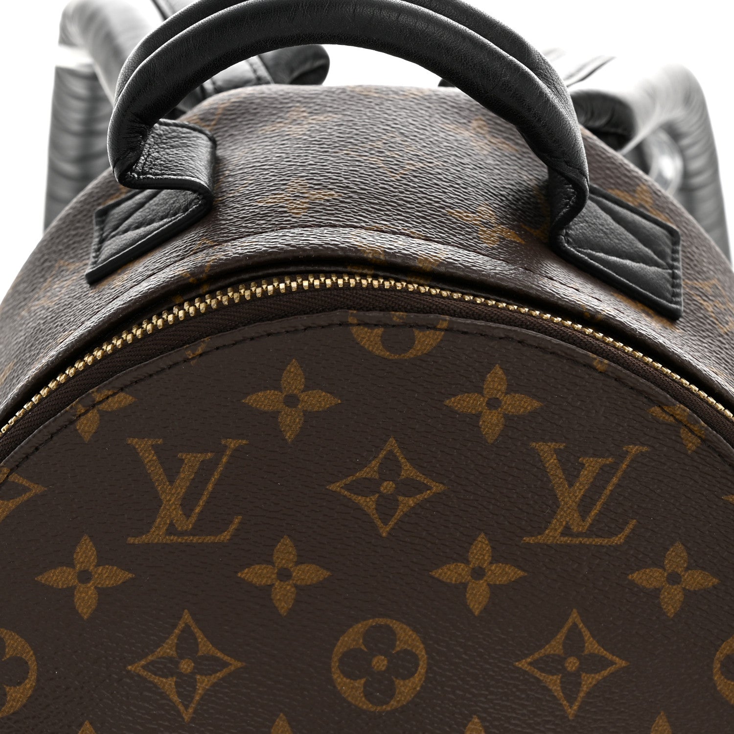 Monogram Palm Springs Backpack PM