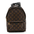 Monogram Palm Springs Backpack PM