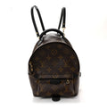 Monogram Palm Springs Backpack Mini