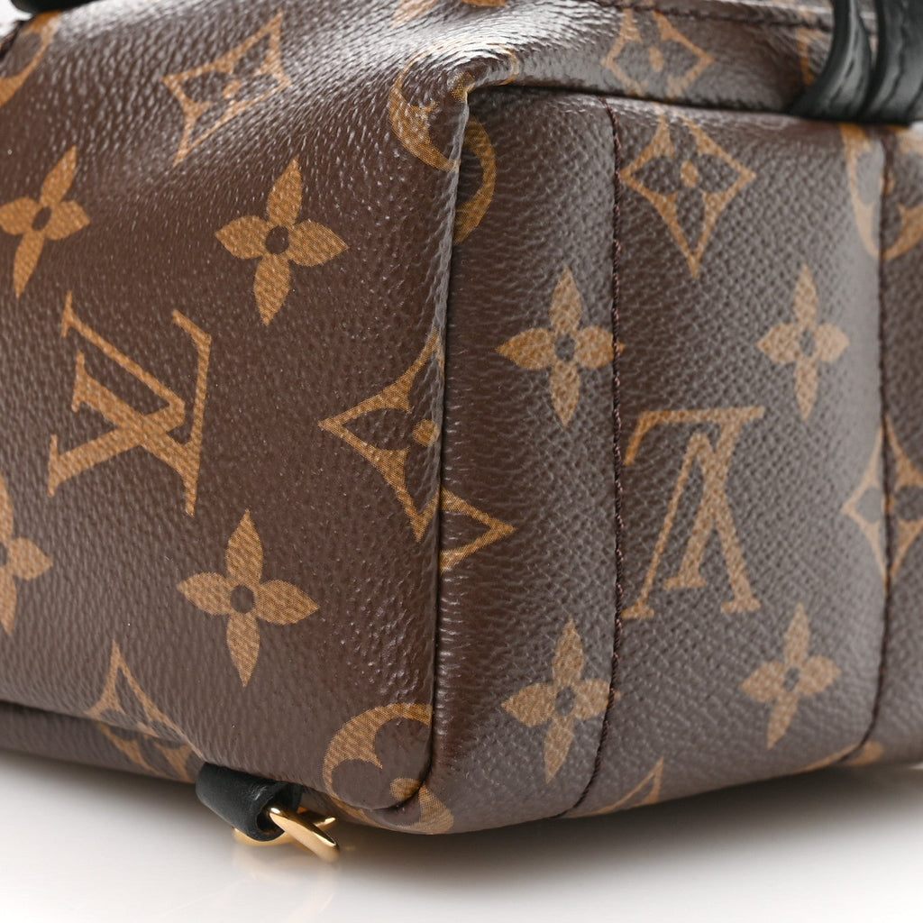 Monogram Palm Springs Backpack Mini