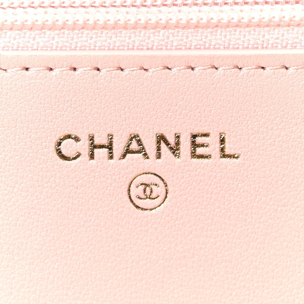 Lambskin Quilted Chanel 19 Wallet On Chain WOC Light Pink