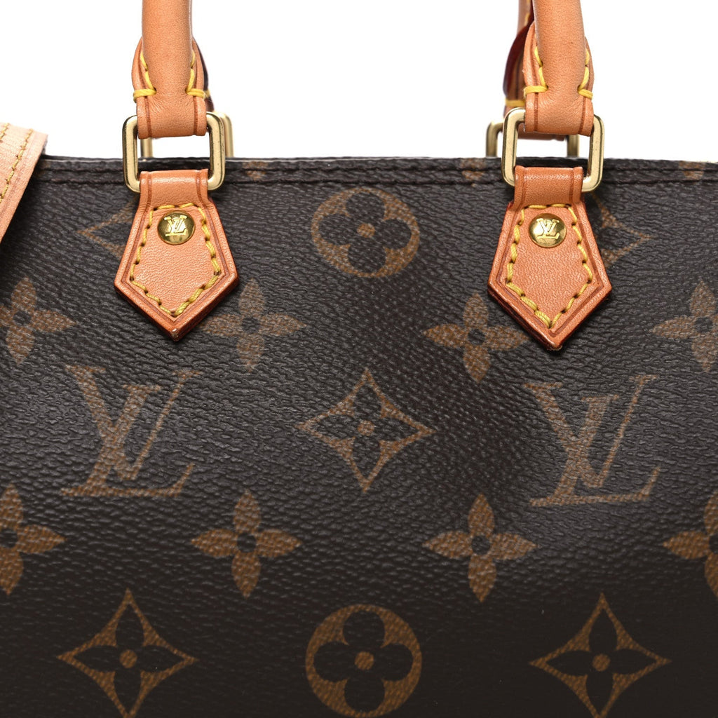 Monogram Nano Speedy