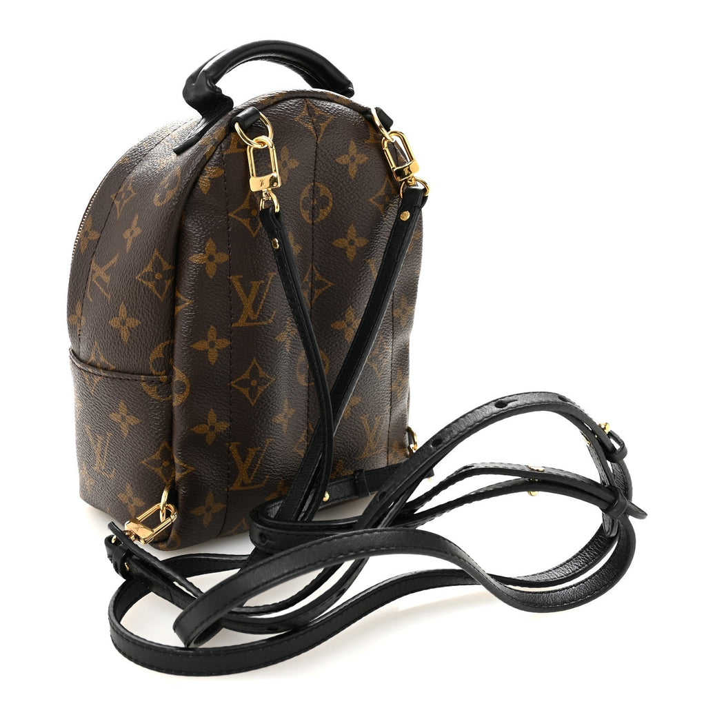 Monogram Palm Springs Backpack Mini