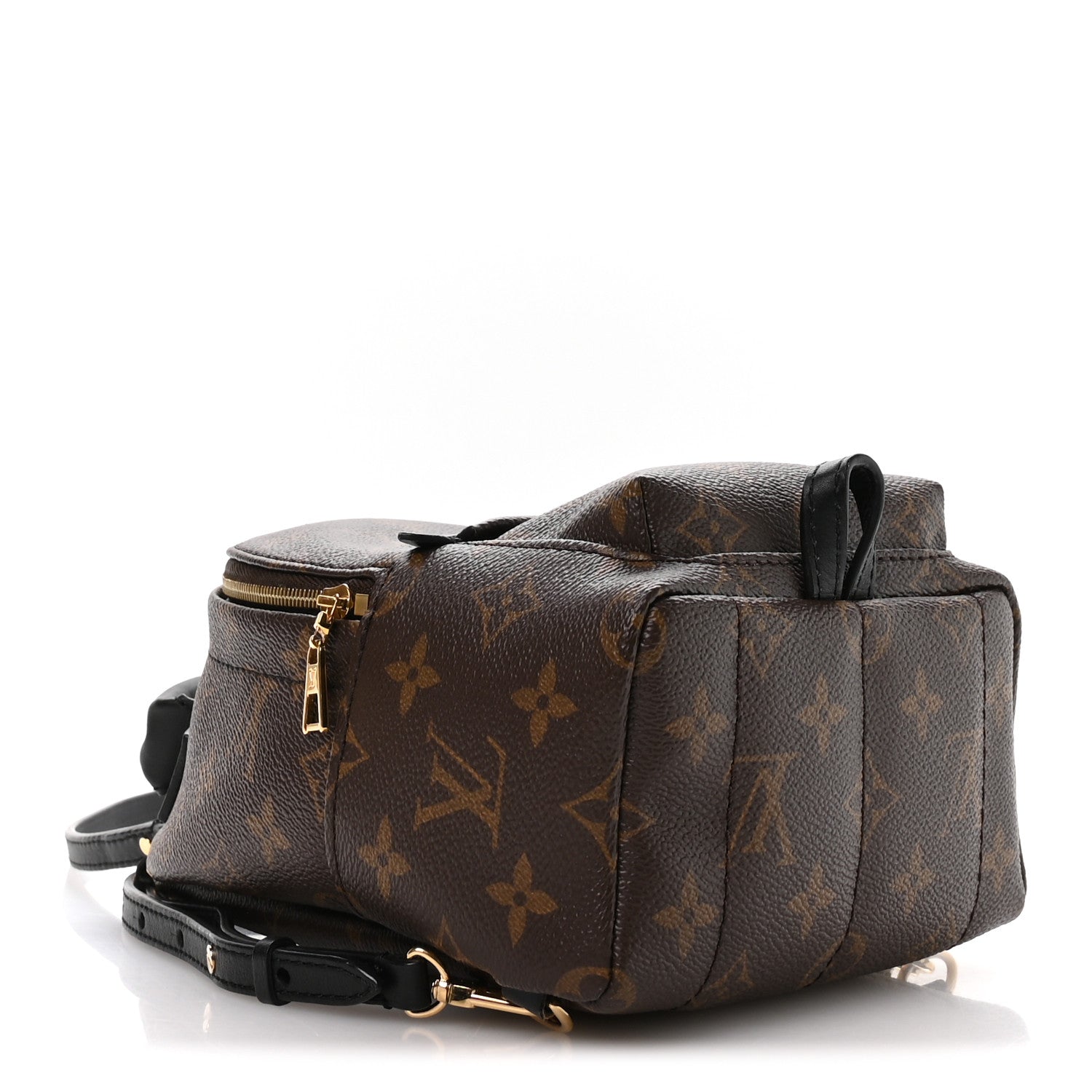 Monogram Palm Springs Backpack Mini