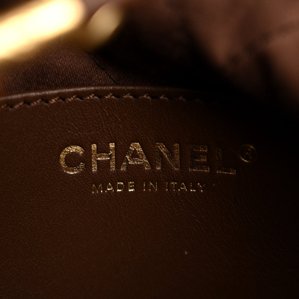 Shiny Calfskin Quilted Mini Chanel 22 Brown