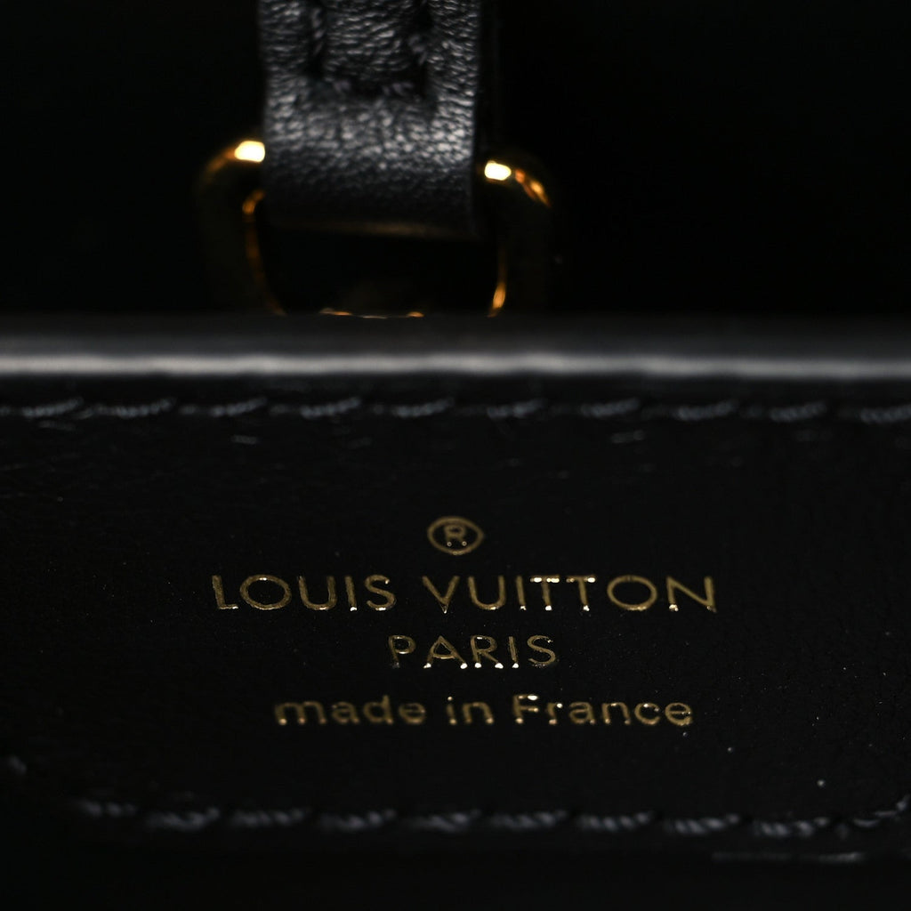 Calfskin Since 1854 Embroidered Capucines PM Black