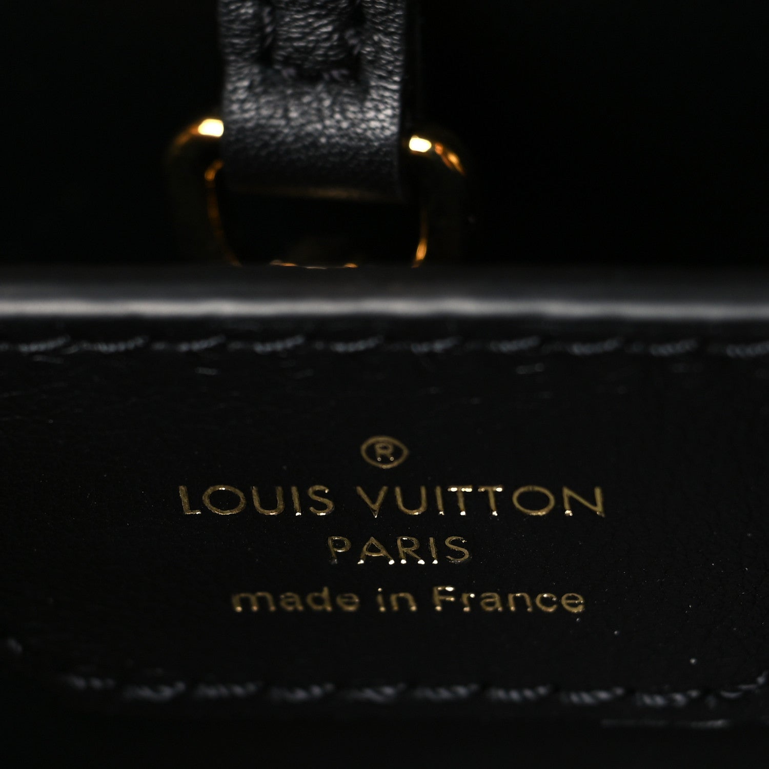 Calfskin Since 1854 Embroidered Capucines PM Black