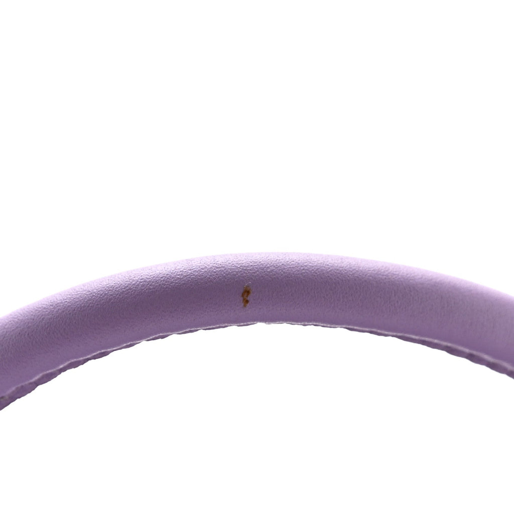Shiny Nappa Calfskin Paseo Bag Light Mauve